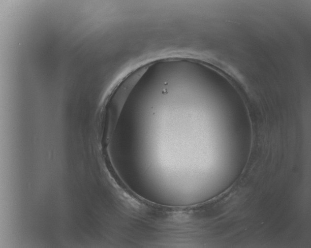 X0000061121504200511241656