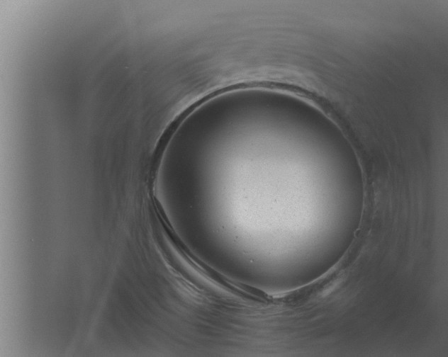 X0000061121505200511241656