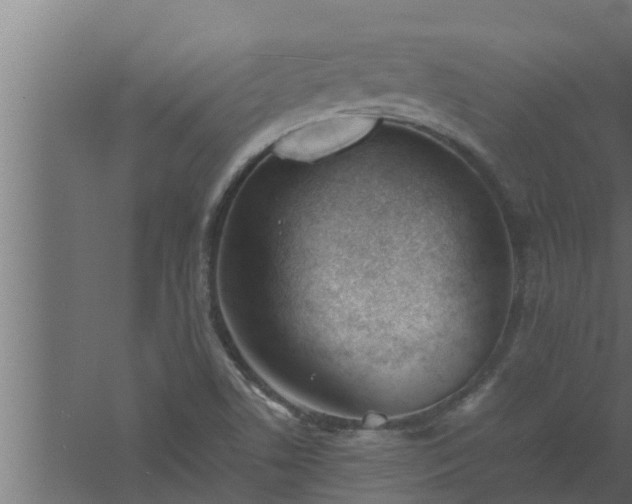 X0000061121506200511241656