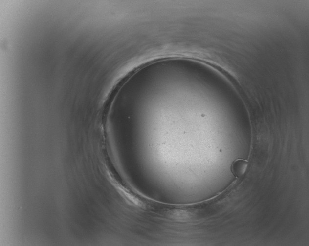 X0000061121507200511241656