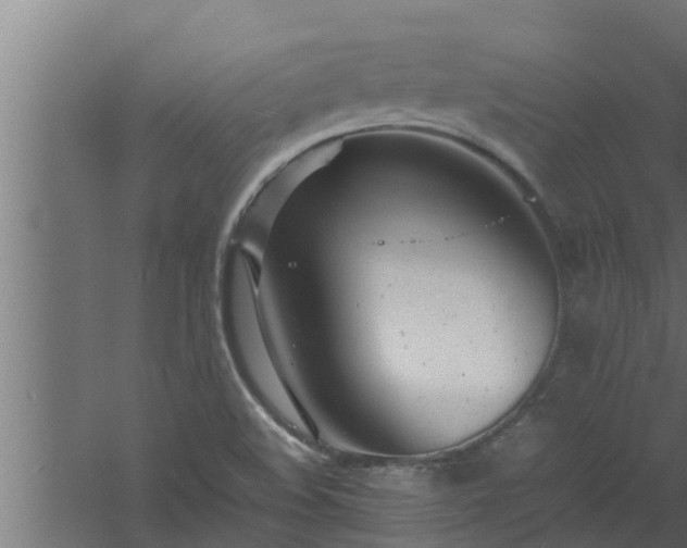 X0000061121508200511241656