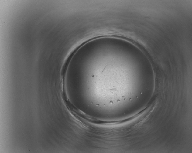 X0000061121509200511241656