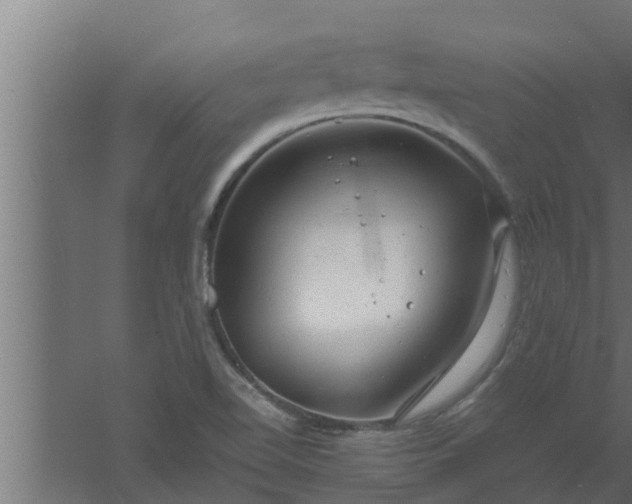 X0000061121510200511241656