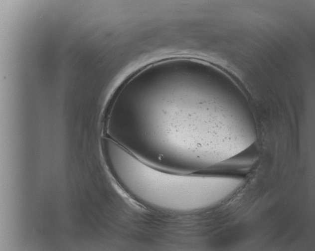 X0000061121511200511241656