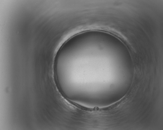 X0000061121512200511241656