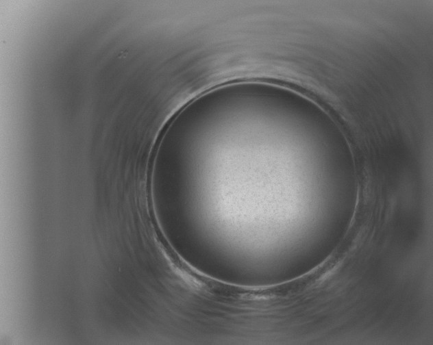 X0000061121513200511241656