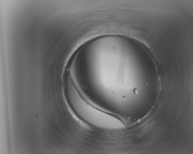 X0000061121515200511241656