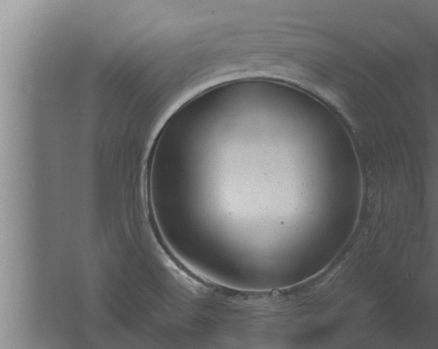 X0000061121516200511241656