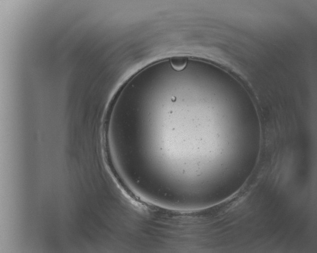 X0000061121517200511241656