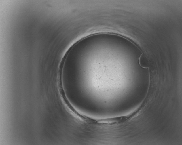 X0000061121518200511241656