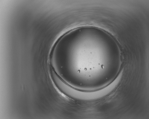 X0000061121519200511241656