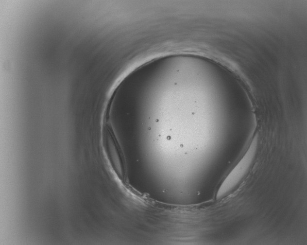 X0000061121520200511241656