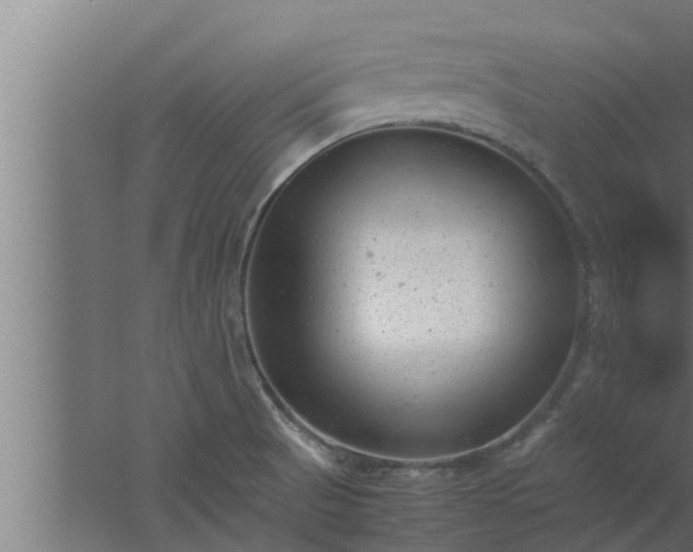 X0000061121521200511241656