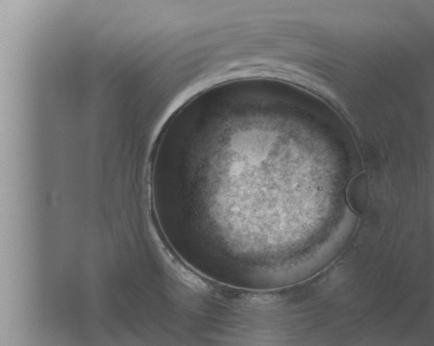 X0000061121522200511241656