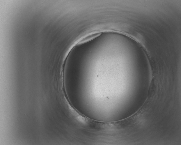 X0000061121524200511241656