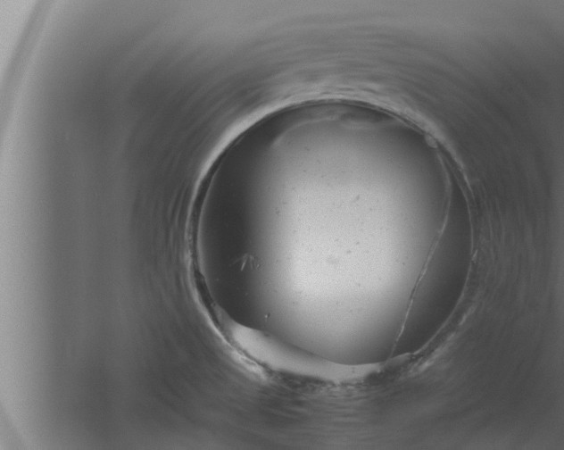 X0000061121525200511241656