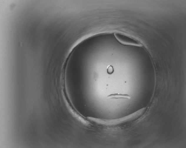 X0000061121526200511241656