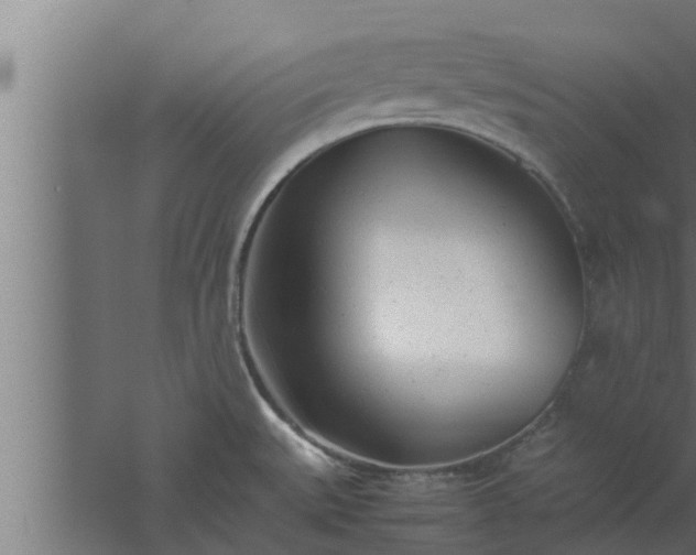 X0000061121527200511241656