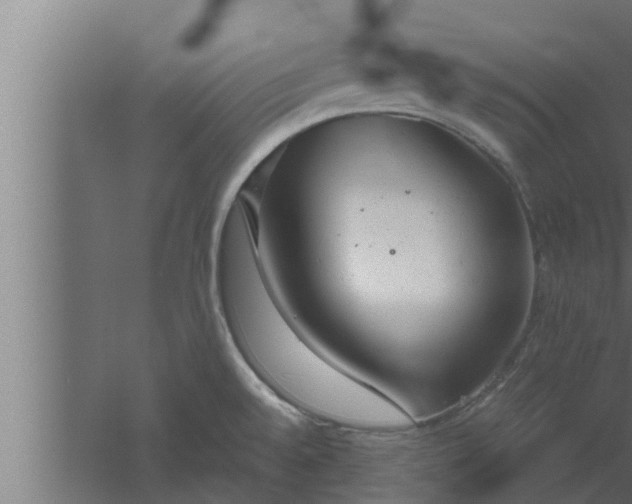 X0000061121528200511241656