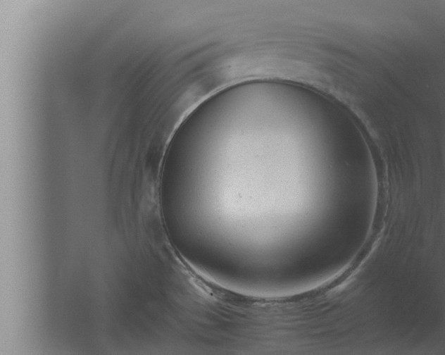 X0000061121529200511241656