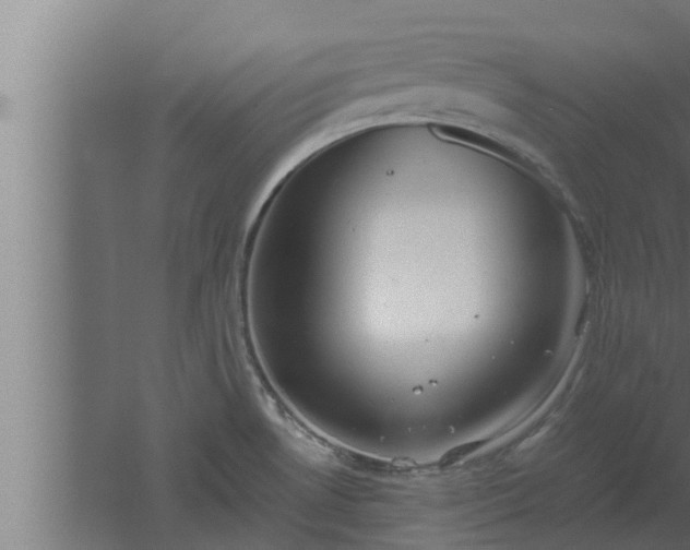 X0000061121530200511241656