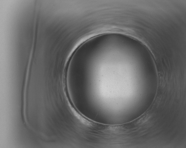 X0000061121531200511241656