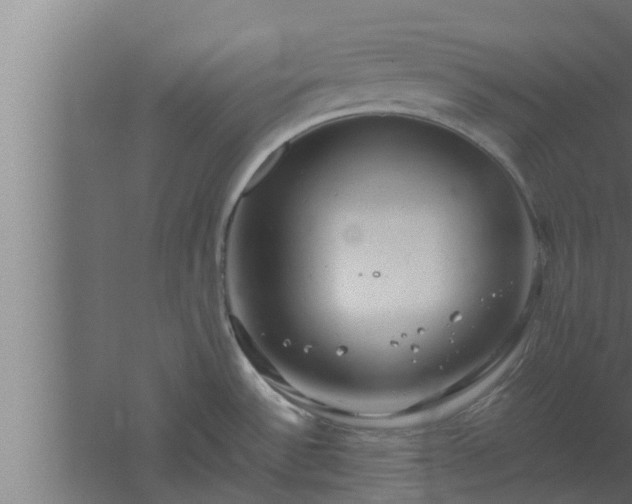 X0000061121532200511241656