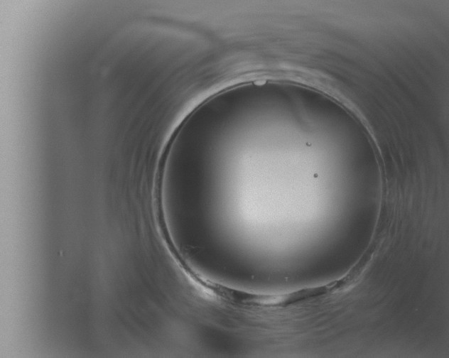 X0000061121533200511241656