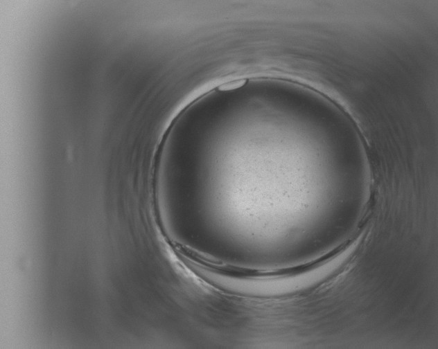 X0000061121534200511241656