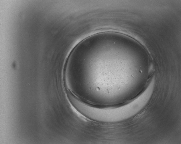 X0000061121535200511241656