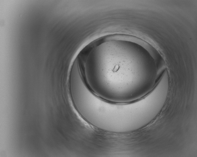 X0000061121536200511241656