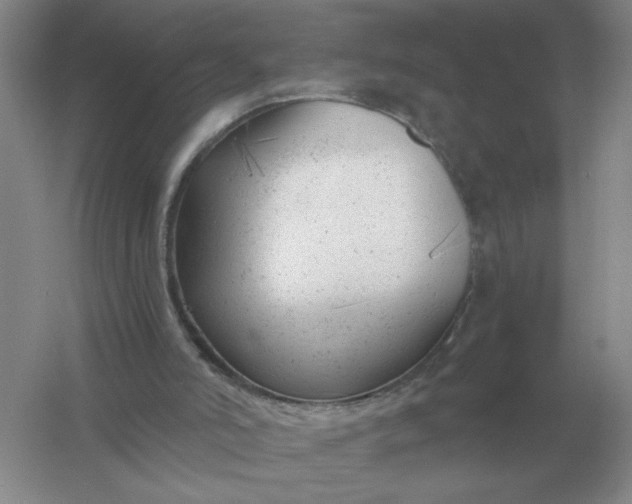X0000061120006200512022205