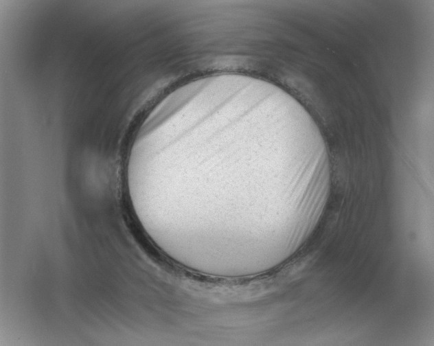 X0000061120016200512022205