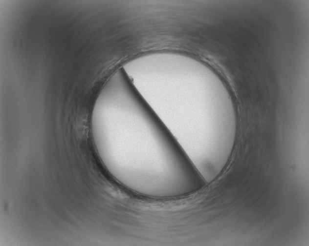 X0000061120017200512022205