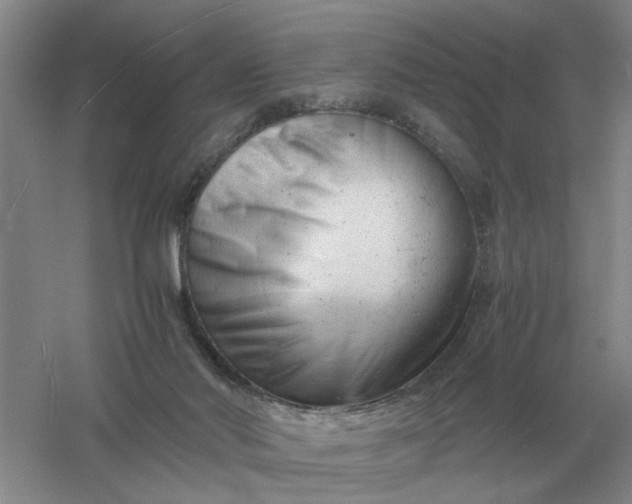 X0000061120022200512022205