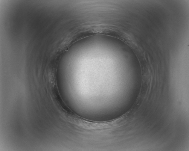 X0000061120031200512022204