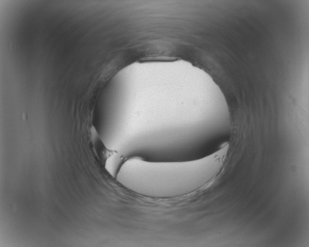 X0000061120045200512022204