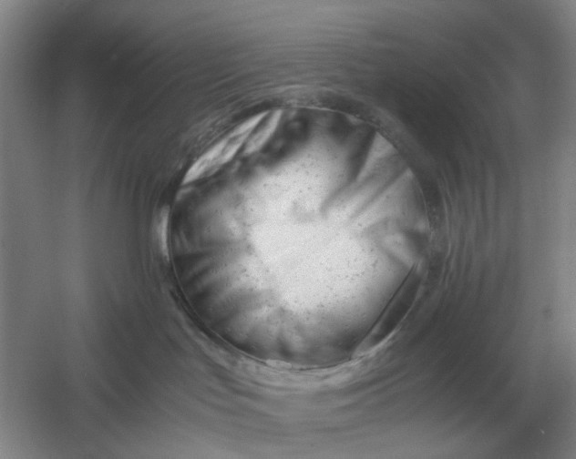 X0000061120047200512022204