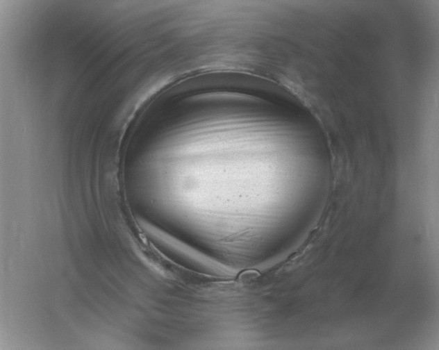 X0000061120050200512022203