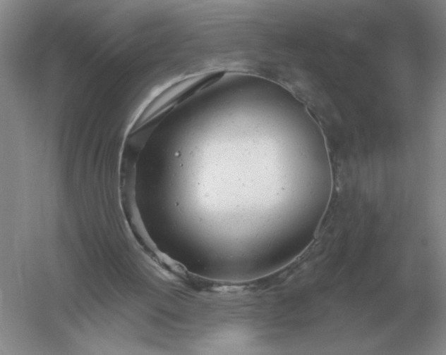 X0000061120052200512022203