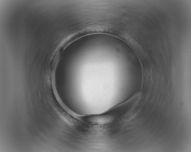 X0000061120064200512022203