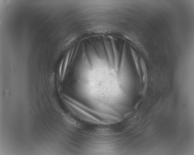 X0000061120066200512022204