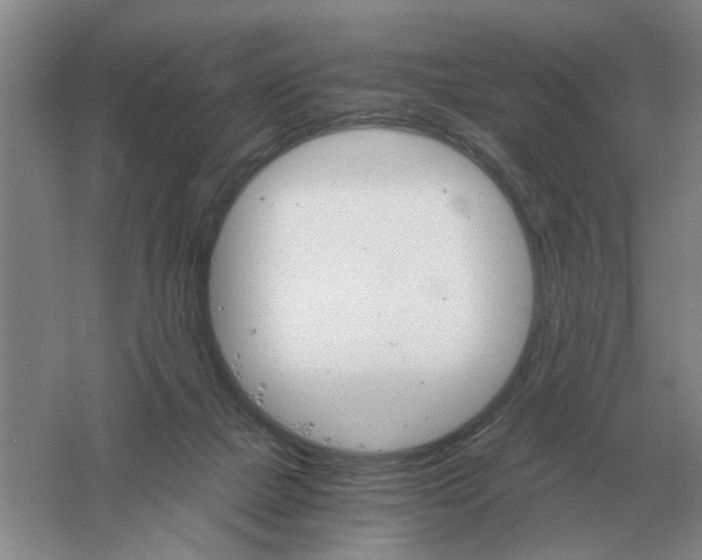 X0000061120073200512022204