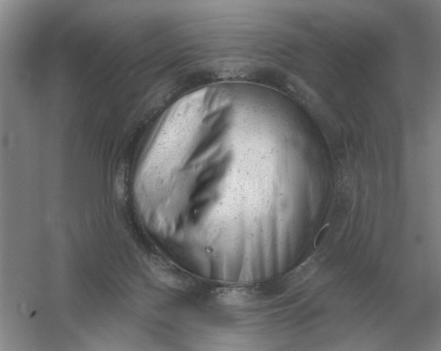 X0000061120074200512022204
