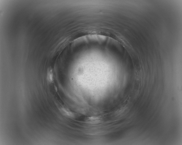 X0000061120095200512022204