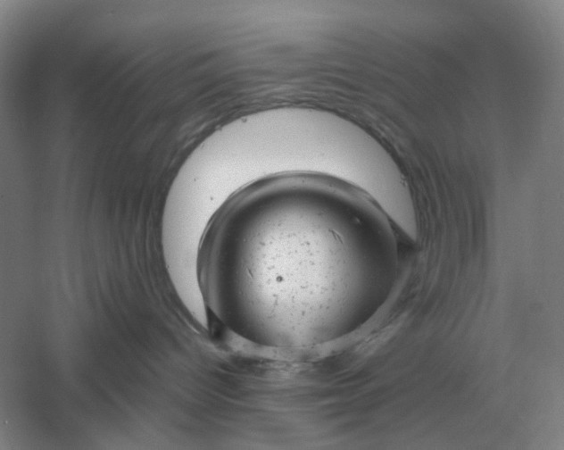 X0000061120096200512022204