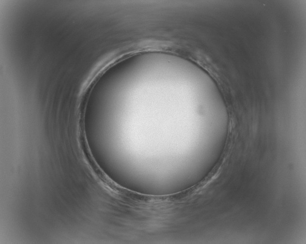 X0000061120101200512022203