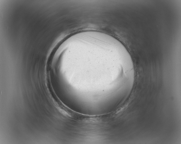 X0000061120102200512022203