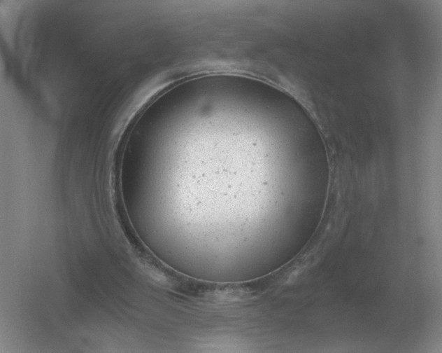 X0000061120103200512022203