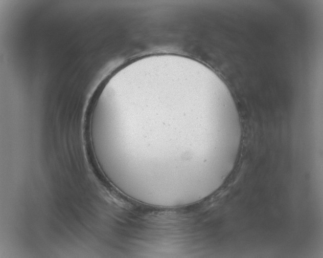 X0000061120104200512022203